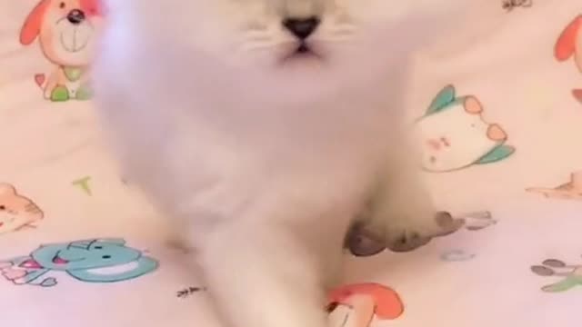Hey ! I Can't Hear you!