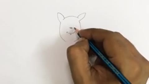 draw kangaroo