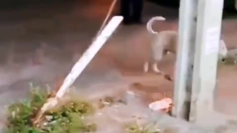 Share interesting videos 15