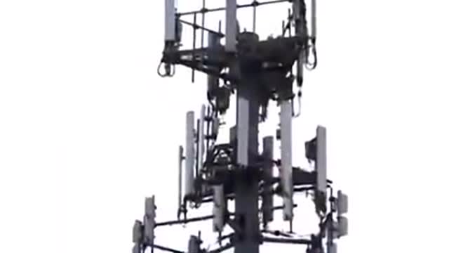 ESTUDIOS DEMUESTRAN QUE ANTENAS 5G PROVOCAN GRAVES DAÑOS A LA SALUD