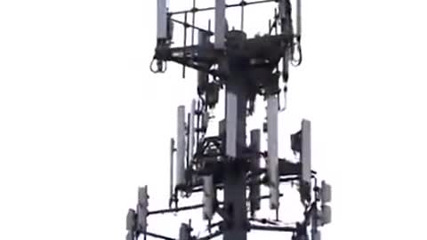 ESTUDIOS DEMUESTRAN QUE ANTENAS 5G PROVOCAN GRAVES DAÑOS A LA SALUD