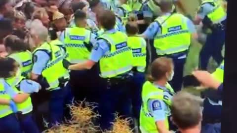 New Zealand Police FIGHTING w/Protestors at Parliament