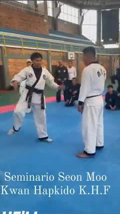 Hapkido