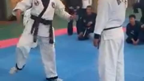 Hapkido