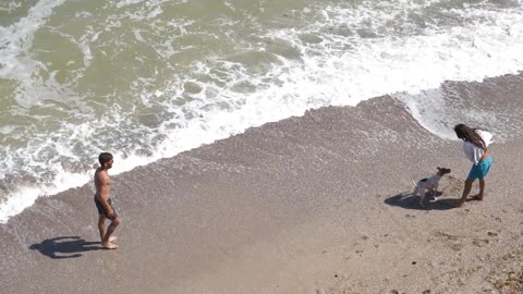 Dogs love the beach #shorts