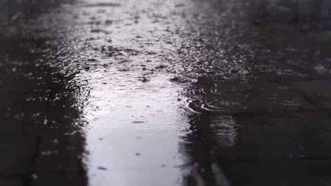 Natural video, Rain Video