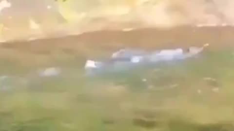 Adam Couldn't Get Away Any Faster