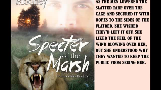 SPECTER OF THE MARSH, a Contemporary Fantasy/Paranormal Romance by Linda Mooney