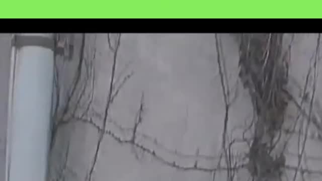 scary this video
