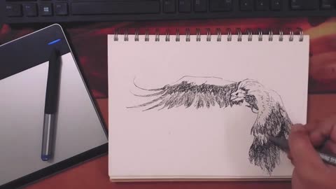 How to Eagle Scratch Drawing