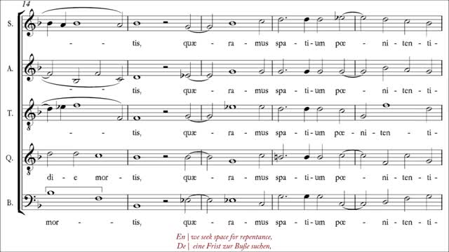 Reparemos o mal que praticámos por ignorância