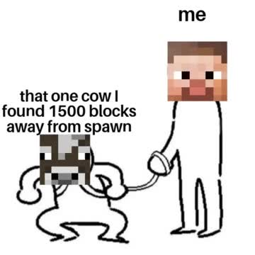 MINECRAFT Memes That Only Minecraft Players Can Understand 5