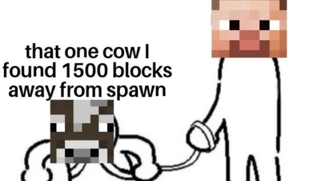 MINECRAFT Memes That Only Minecraft Players Can Understand 5