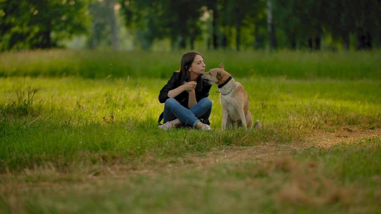 A young girl in a park communicates with her dog, petting head, scratches behind her ear