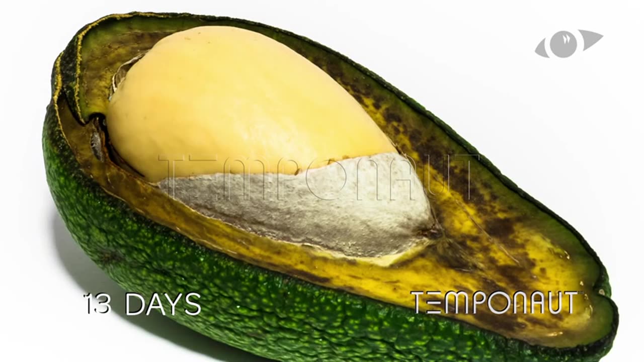 Avocado Timelapse (2)