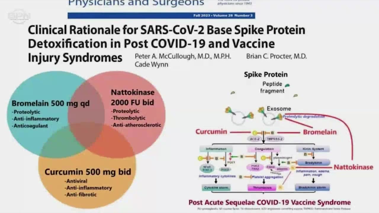 Spike Protein Detox Goes Mainstream: First-Ever Protocol Appears in U.S. Medical Journal