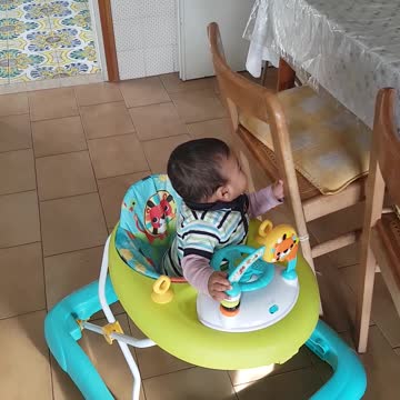 Little baby funny video My little kid wants to catch everything