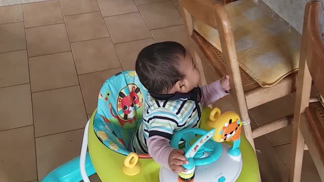 Little baby funny video My little kid wants to catch everything