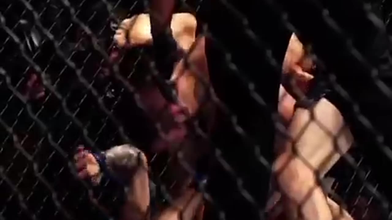 ufc fighting video