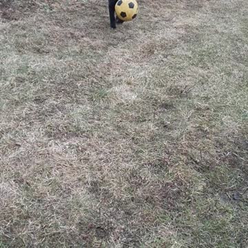 When I was little, I played with the ball.