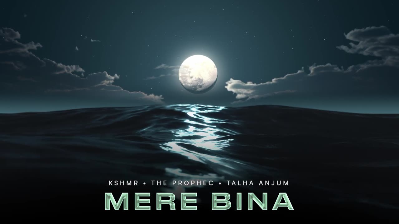 Mere Bina - KSHMR ft The PropheC & Talha Anjum