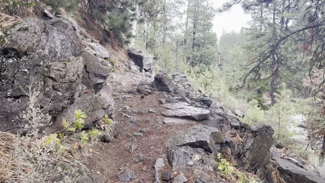 Heavy Winds Pick Up Along Rocky Deschutes River Trail – Central Oregon – 4K