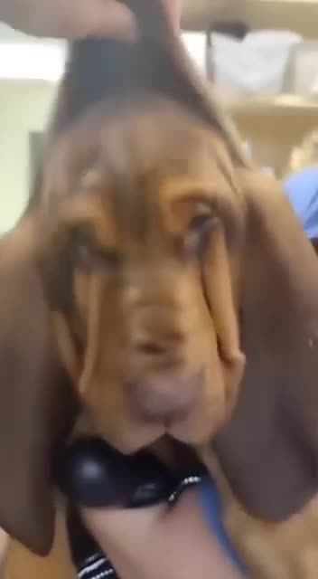 When did the sun come out 😂