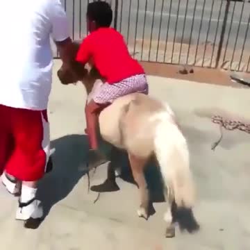 Running funny just video