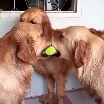 When you want to join a group chat, and you just wanna say “hey I am here too”