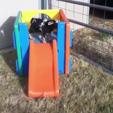 "I have been prepared for a long time to meet you deliberately"