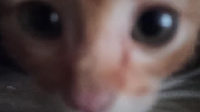 say hi to friend