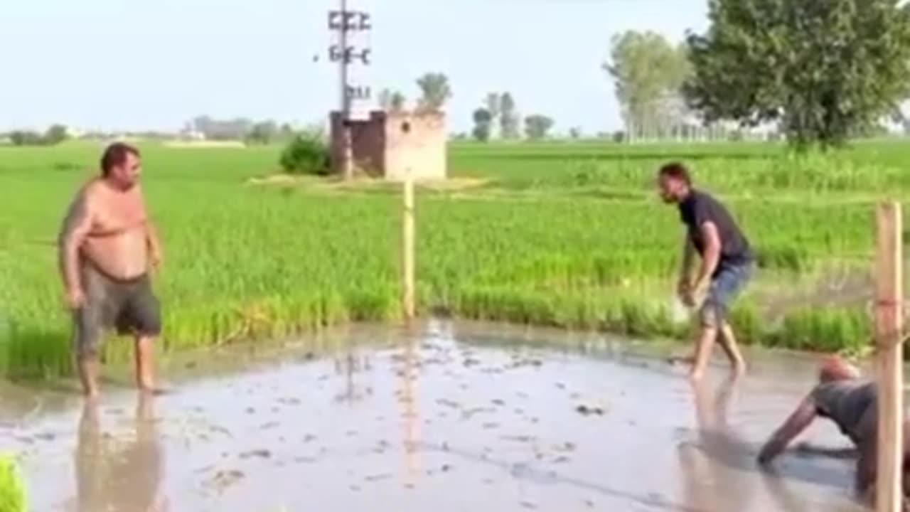 Www.e