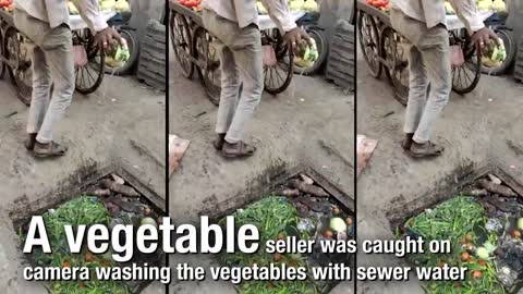 Viral video Vegetable seller caught washing veggies in sewer water