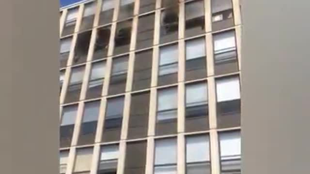 A cat falls from the last floor of the building. Will it die?