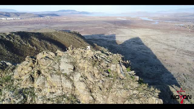 The expanses of Shagonar