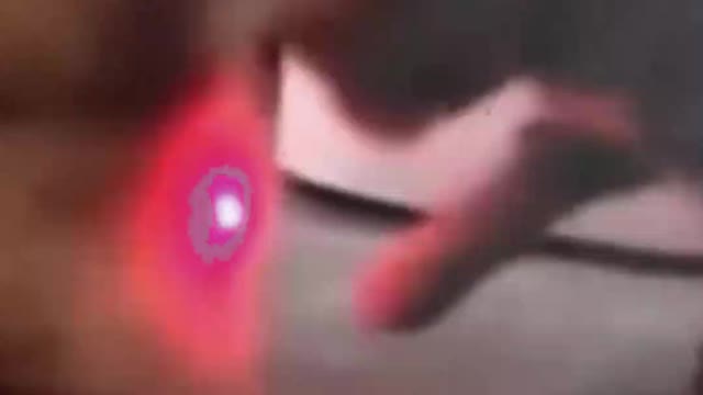 Animal Funny Videos: Funny Animal's | Thug Tohid #shorts