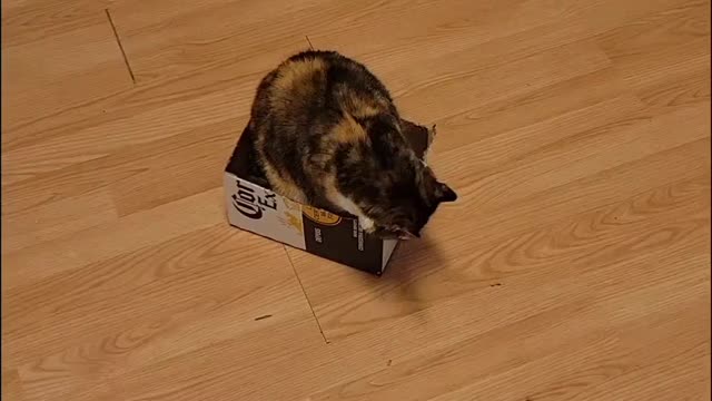 Wheels loves the 'Rona