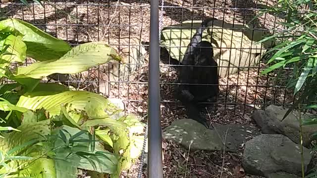 Us with the monkeys