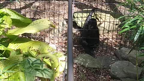 Us with the monkeys