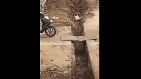funny moments of the year