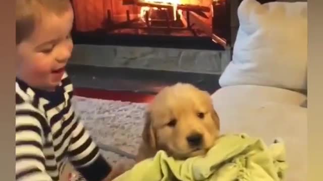 Baby's pet