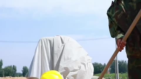 Great dog trained to help the family