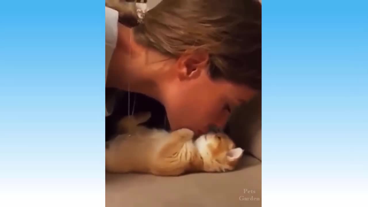 Try Not To Laugh Funny and Cute Animals