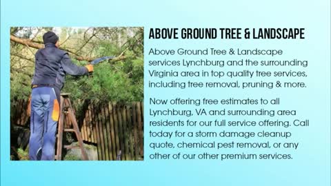 tree service timberlake