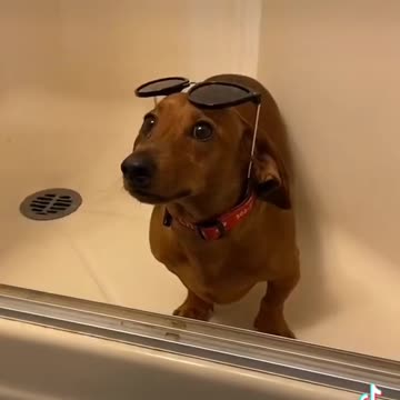 The proof is in the pudding