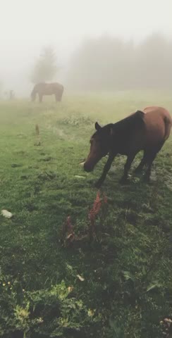 Beautiful weather 515