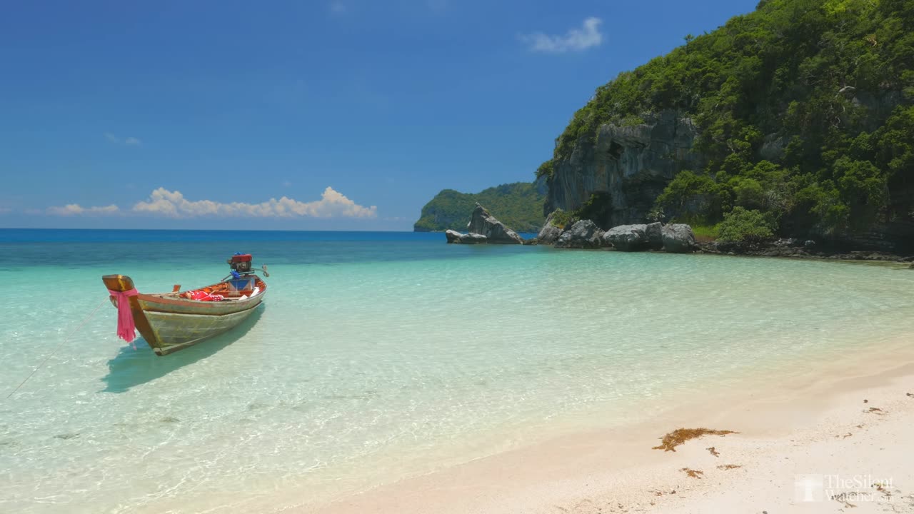 Tropical Beach - Relaxing Sea_ Ocean Wave Sounds _ Nature Video - Meditate_ Yoga_ Sleep