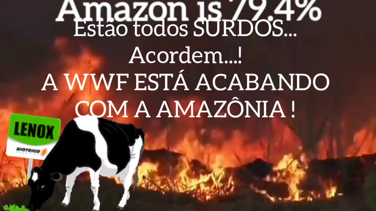 WWF quer se torna dona da Amazônia : Estão todos SURDOS, acordem a WWF está tomando a Amazônia ! São eles que estão colocando fogo 🔥