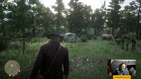 Red Dead Redemption 2 Gameplay Walkthrough Part 3