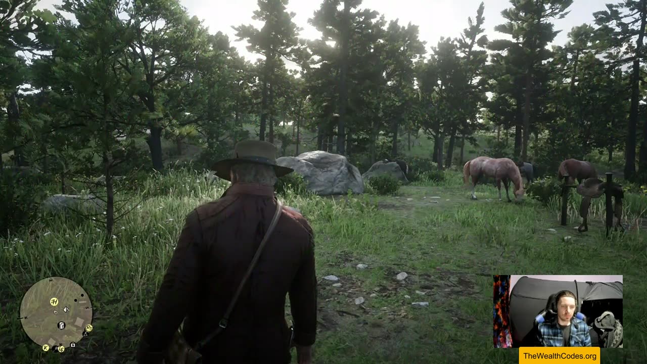 Red Dead Redemption 2 Gameplay Walkthrough Part 3